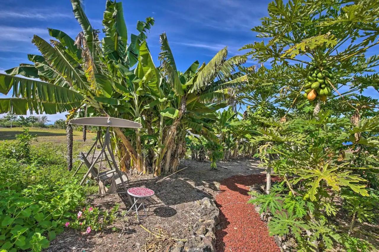 Tranquility Guest House Holualoa Buitenkant foto
